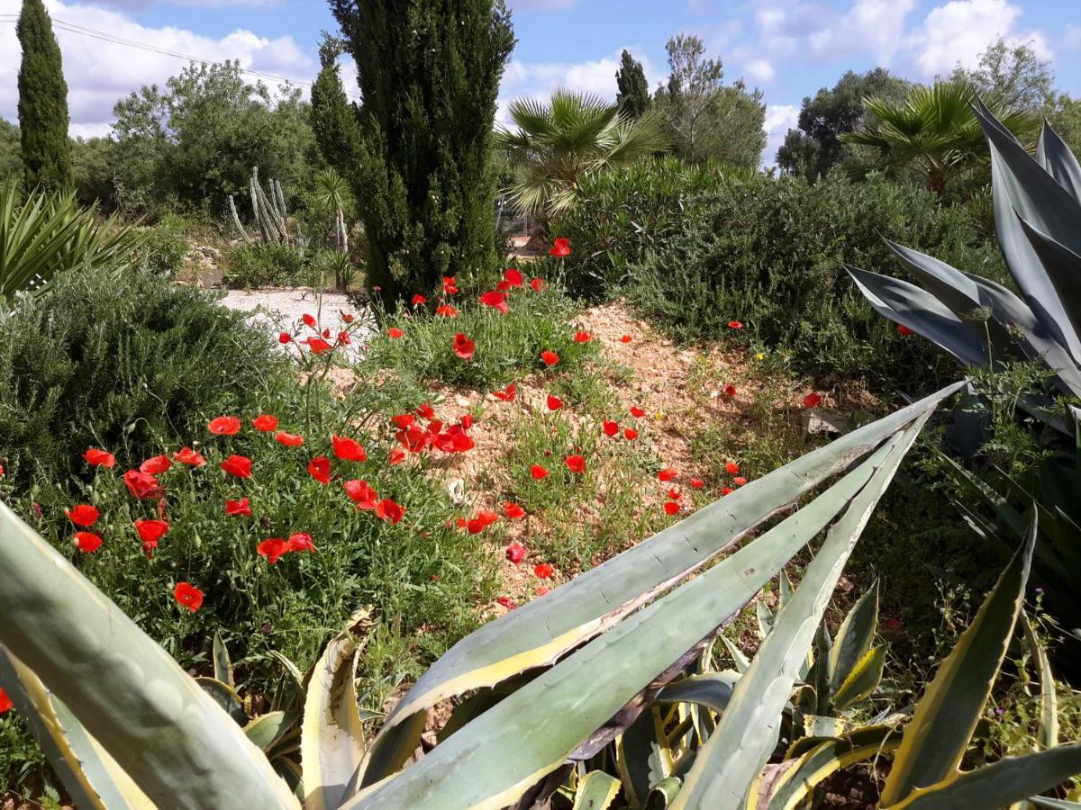 Finca Alqueria Fosca Campos  Exterior photo