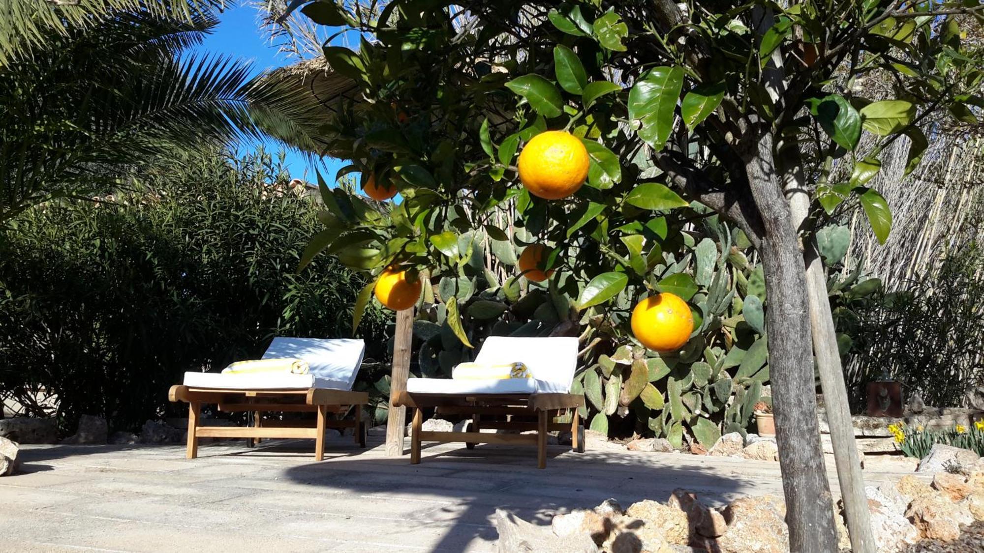Finca Alqueria Fosca Campos  Exterior photo