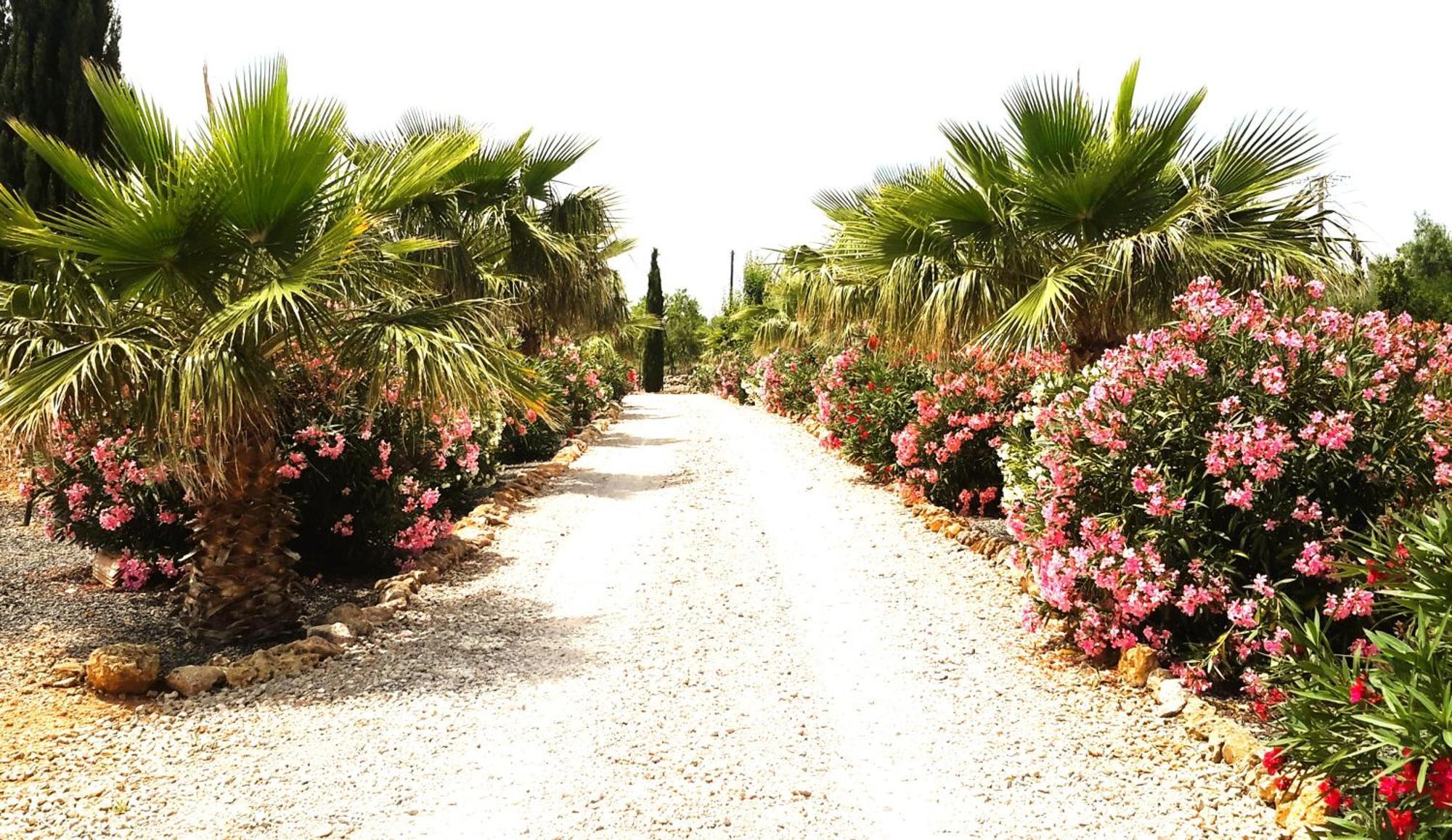 Finca Alqueria Fosca Campos  Exterior photo